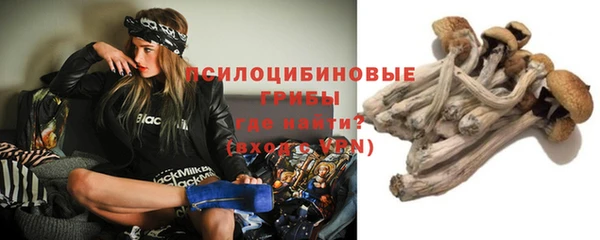 стаф Волосово