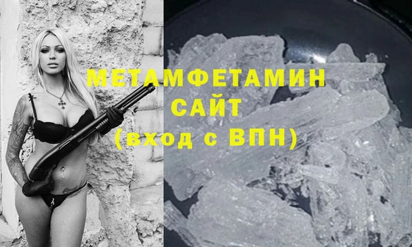 стаф Волосово