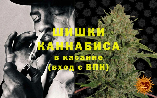 стаф Волосово