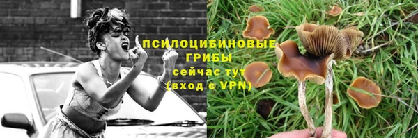 стафф Волоколамск