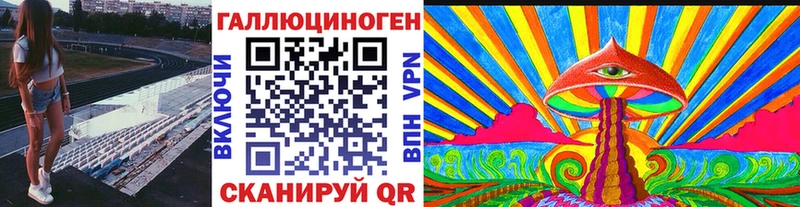 Псилоцибиновые грибы Psilocybine cubensis  Элиста 
